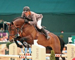 stallion Chaman (KWPN (Royal Dutch Sporthorse), 1999, from Baloubet du Rouet)