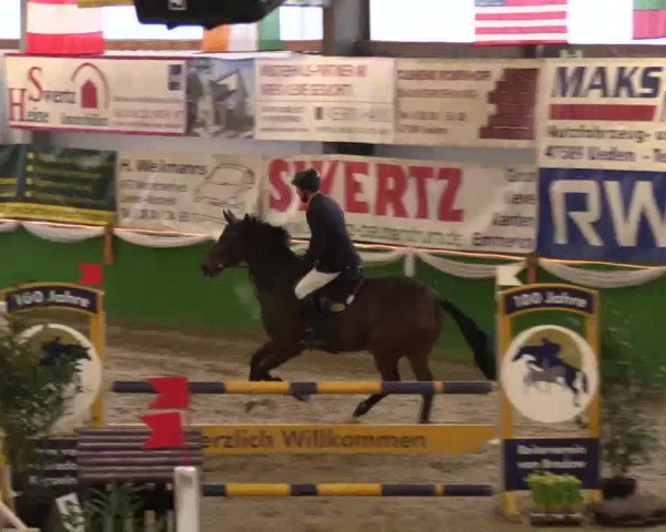Keppelner Springpferdemeeting 2015