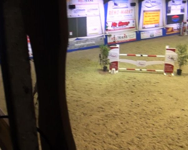 Spring-Pferde-Festival Lathen 2015