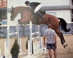 jumper Hero B (KWPN (Royal Dutch Sporthorse), 2012, from VDL Groep Zagreb)