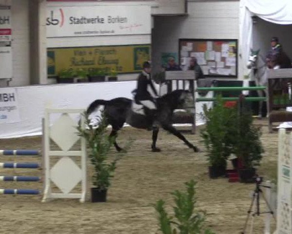 Hallenspringturnier in Borken 2015