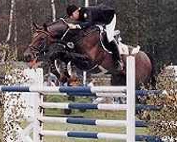 horse Ramino (Westphalian, 1980, from Ramiro Z)
