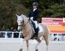 dressage horse Mysterious Golden Bink (unknown, 2004)