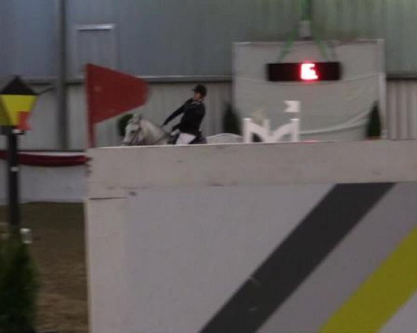 Hallenreitturnier Arnsberg-Voßwinkel 2015