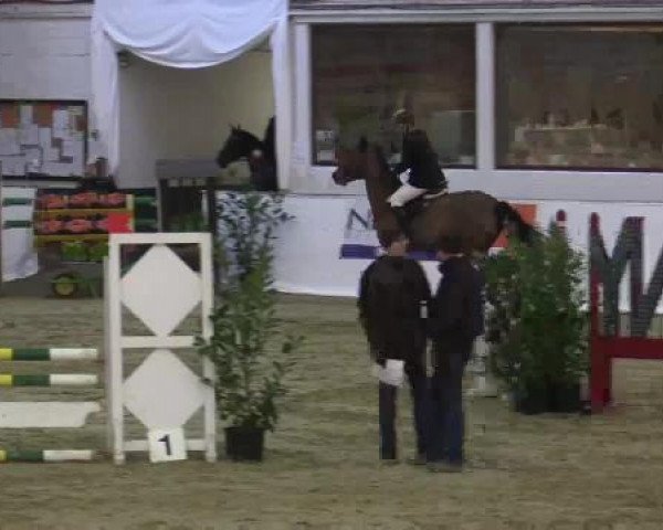 Hallenspringturnier in Borken 2015