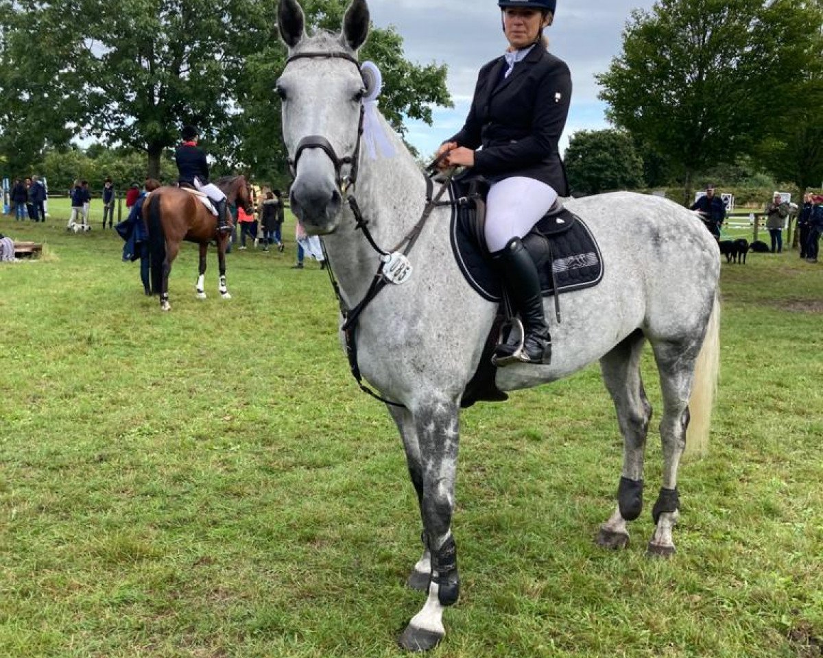 jumper Classic Girl 32 (Holsteiner, 2010, from Cassito)