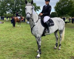 jumper Classic Girl 32 (Holsteiner, 2010, from Cassito)