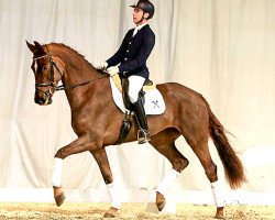 broodmare Lilly Fee (Hanoverian, 2014, from Livaldon)