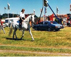 stallion Dancan's Coco (Appaloosa, 1976, from Dancan's Choice)