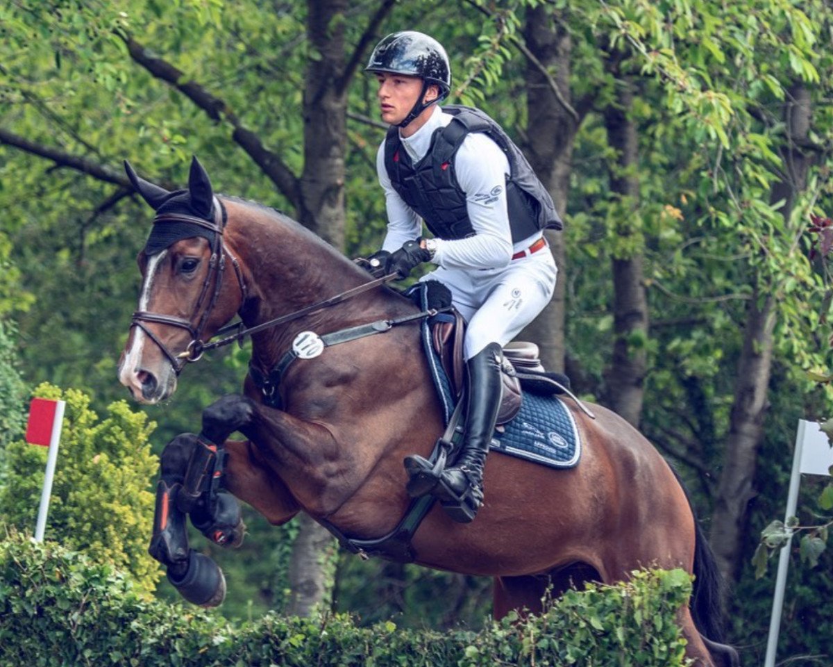 Geländepferd Special Guest 4 (Oldenburger Springpferd, 2015, von Christian 25)