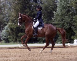 dressage horse Bugatti C (Württemberger, 2010, from Blue Hors Bentley)