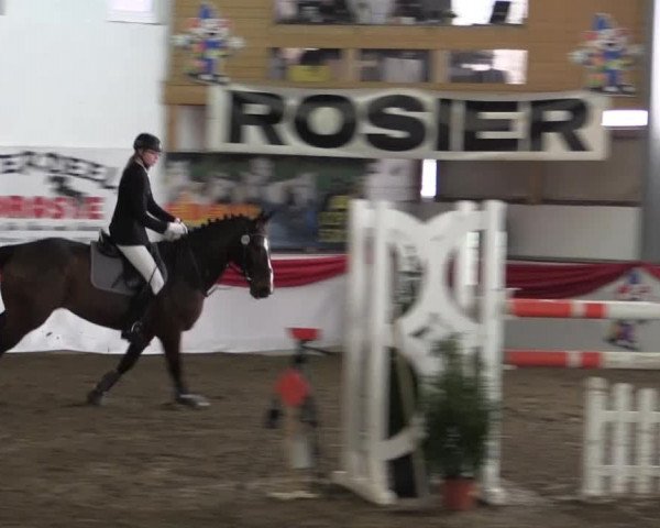 Hallenreitturnier Arnsberg-Voßwinkel 2015