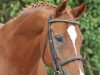 dressage horse Lombadi 3 (Hanoverian, 2002, from Longchamp)