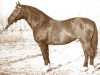 stallion Hazard (Hanoverian, 1959, from Don Juan)