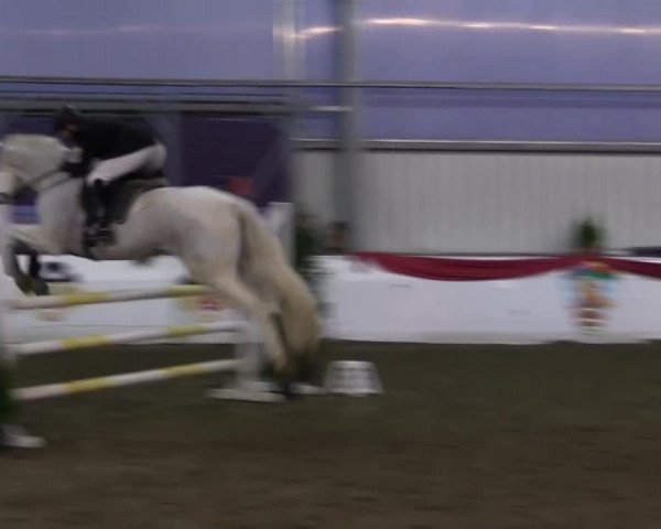 Hallenreitturnier Arnsberg-Voßwinkel 2015