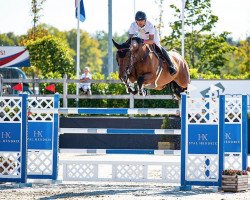 jumper Estoril (KWPN (Royal Dutch Sporthorse), 2009, from Calvaro Z)