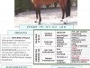 stallion Hardi du Manoir (Selle Français, 1995, from Bayard d'Elle)