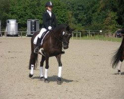 dressage horse Beatrice 18 (German Riding Pony, 2000, from Chopin)