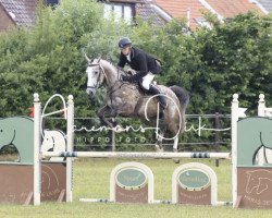 Zuchtstute Kentucky van de Koeboshoeve (Belgisches Warmblut, 2010, von Cicero Z van Paemel)