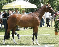 broodmare Anatevka 82 (Westphalian, 2006, from Arpeggio)