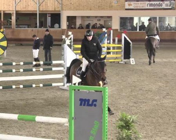 Late Entry Springen Dettingen 2015