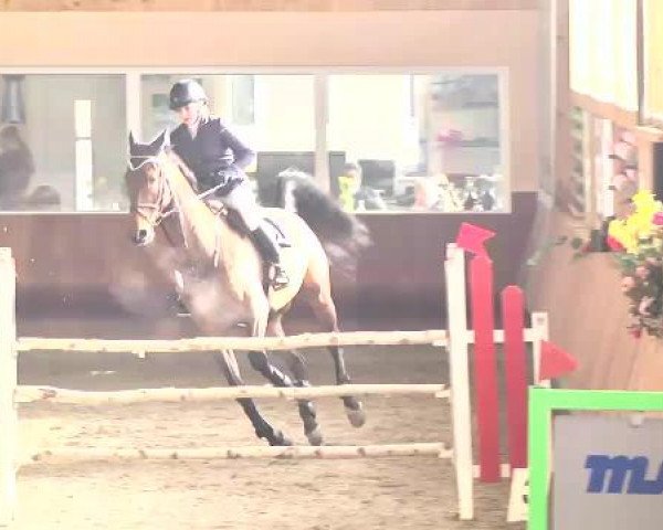 Late Entry Springen Dettingen 2015