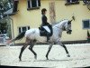 dressage horse Nanu Nana (unknown, 2011)