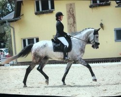 dressage horse Nanu Nana (unknown, 2011)