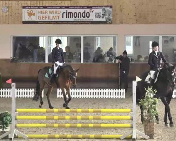 Late Entry Dressur Dettingen 2015