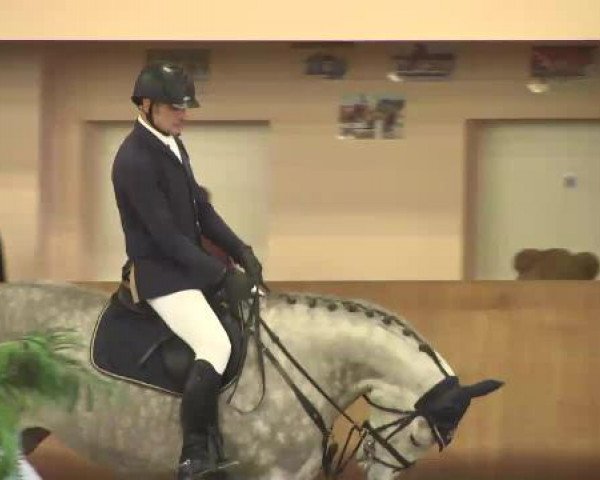 Late Entry Springen Dettingen 2015