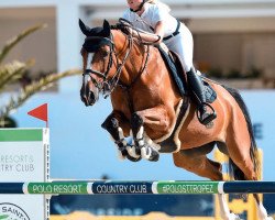 Springpferd Noortje van het Houterhof (Belgisches Warmblut, 2013, von Emerald van 't Ruytershof)