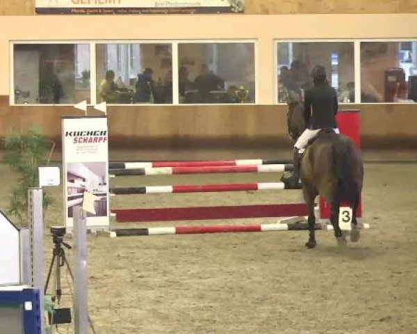 Late Entry Springen Dettingen 2015