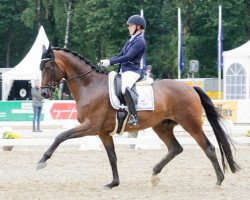 dressage horse Borderline 5 (Hanoverian, 2014, from Bordeaux 28)