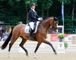 dressage horse Escona 8 (Rhinelander, 2015, from Escolar)