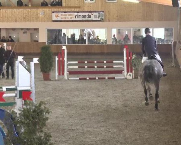 Springturnier Dettingen Late Entry 2015