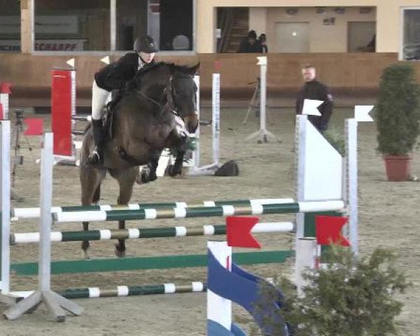 Springturnier Dettingen Late Entry 2015