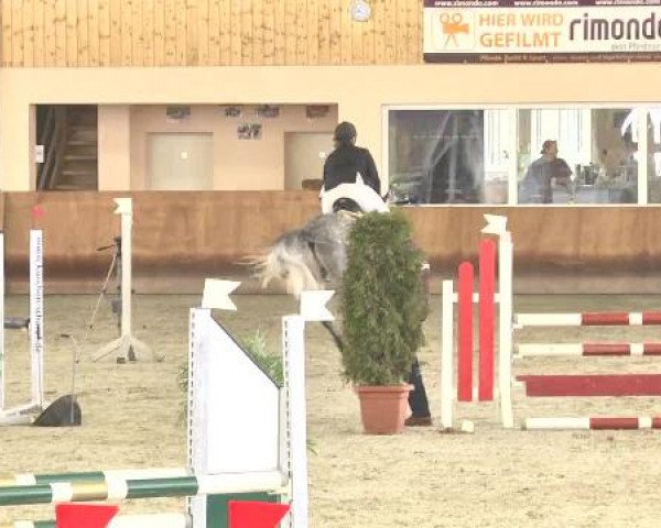 Springturnier Dettingen Late Entry 2015