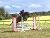 jumper Felicity 37 (Hanoverian, 2010, from For Edition)