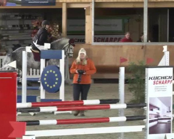 Springturnier Dettingen Late Entry 2015