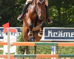 jumper Nikido du Chateau (German Sport Horse, 2009, from Nikidam du Chateau)