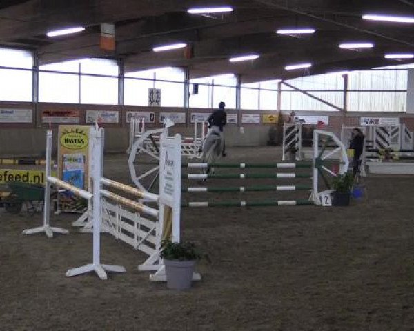 17. Hallen-Reit- und Springturnier Lembeck