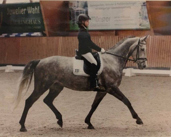 dressage horse Ruby Girl 3 (Württemberger, 2005, from Ruehmann)