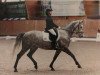 dressage horse Ruby Girl 3 (Württemberger, 2005, from Ruehmann)