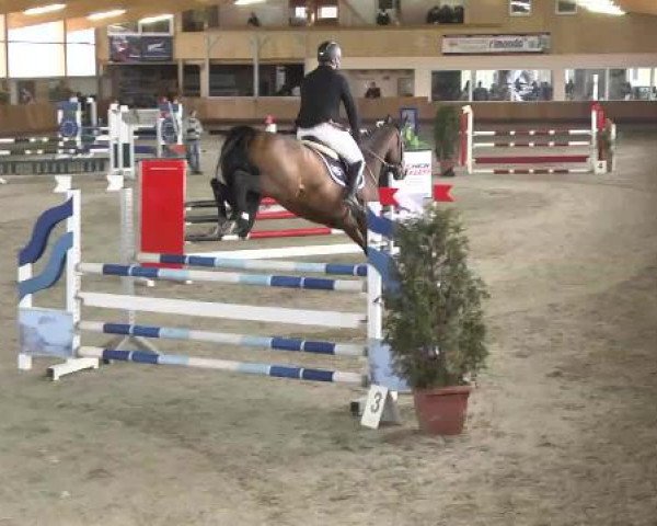 Springturnier Dettingen Late Entry 2015