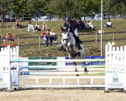 Springpferd Flux Blue L.v. (KWPN (Niederländisches Warmblut), 2010, von Zirocco Blue)