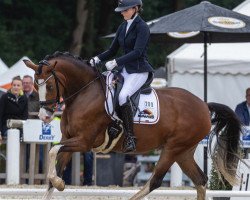 dressage horse Mein Herzblatt (German Riding Pony, 2016, from Movie Star)