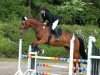 jumper Casamonte (Hanoverian, 2006, from Chasseur I)