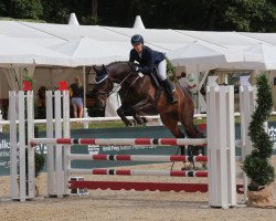 jumper Checker 78 (Oldenburg show jumper, 2014, from Conthargos)