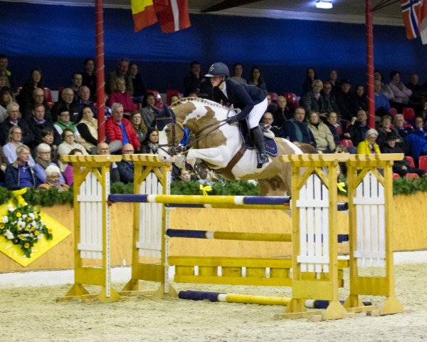 stallion Bonanza (KWPN (Royal Dutch Sporthorse), 2010, from Baloubet du Rouet)