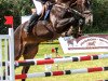 jumper So Happy HT (Zangersheide riding horse, 2015, from Solid Gold Z)